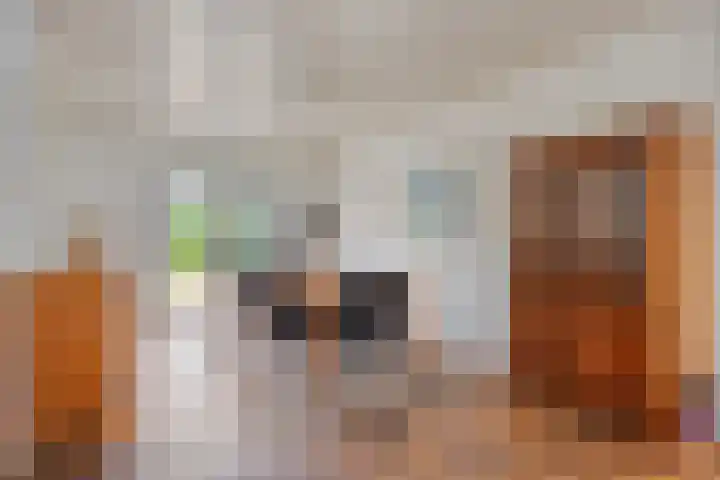 Sportlaan 15 Dongen thumbnail 16