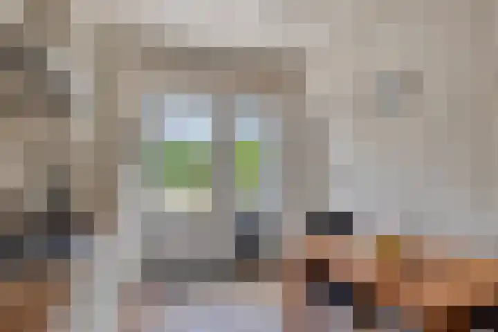 Sportlaan 15 Dongen thumbnail 18