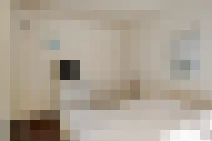 Sportlaan 15 Dongen thumbnail 20