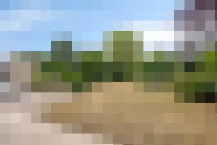 Sportlaan 15 Dongen thumbnail 24