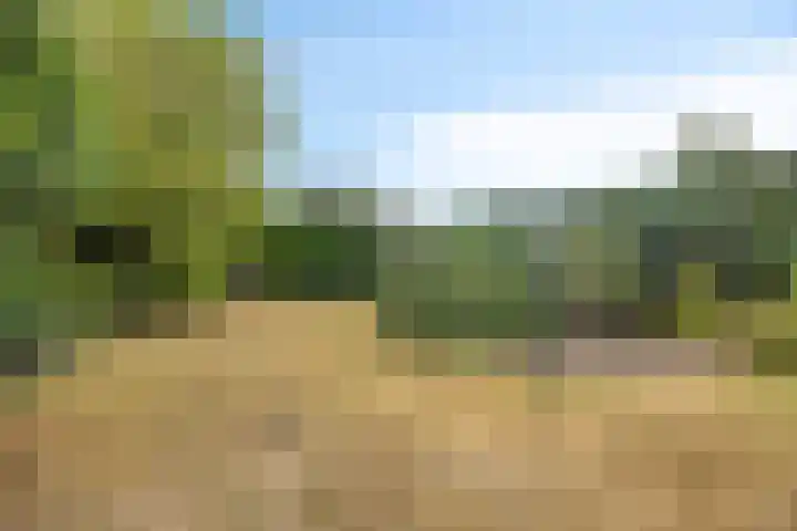 Sportlaan 15 Dongen thumbnail 26