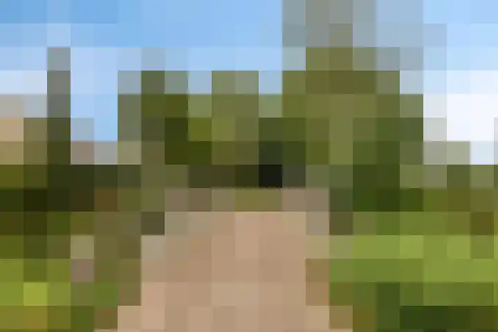 Sportlaan 15 Dongen thumbnail 30