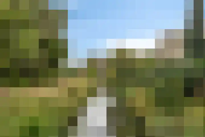 Sportlaan 15 Dongen thumbnail 31