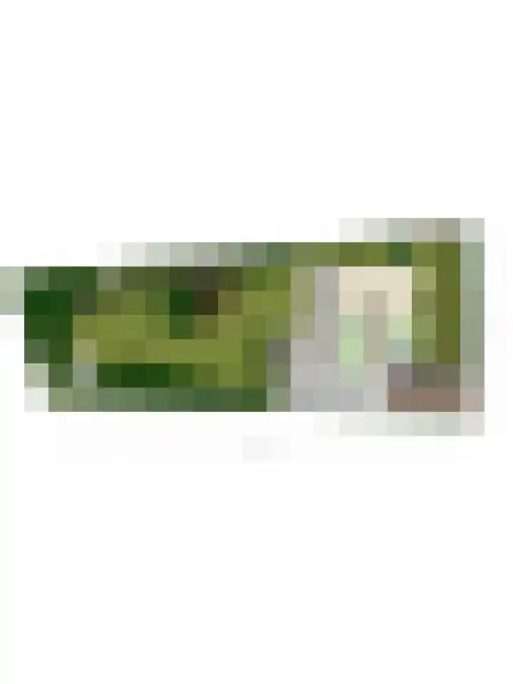 Sportlaan 15 Dongen thumbnail 35