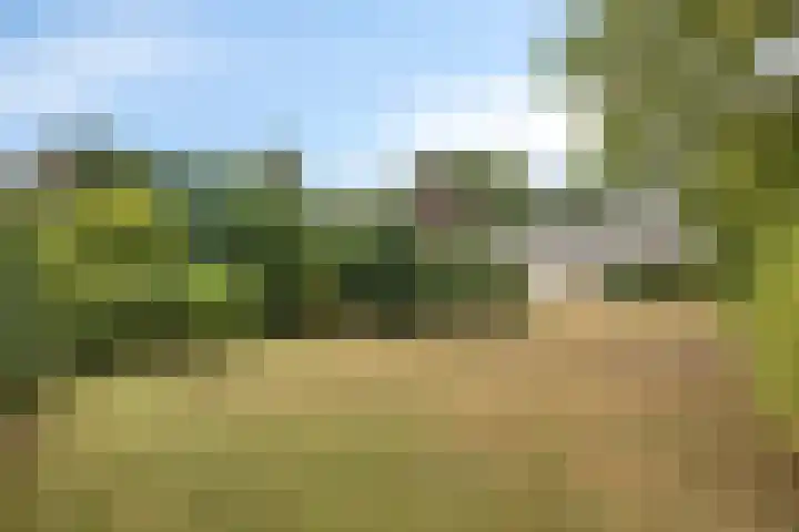 Sportlaan 15 Dongen thumbnail 6