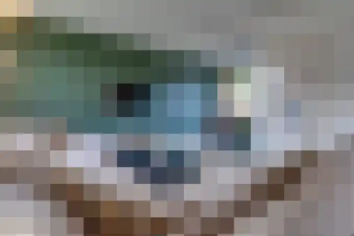 Sportlaan 15 Nieuw-Buinen thumbnail 13