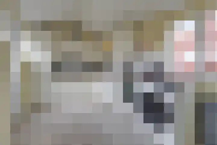 Sportlaan 15 Nieuw-Buinen thumbnail 22