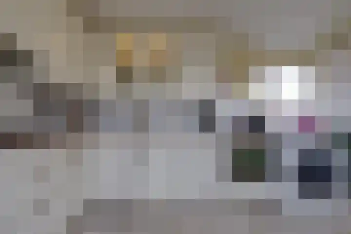 Sportlaan 15 Nieuw-Buinen thumbnail 23