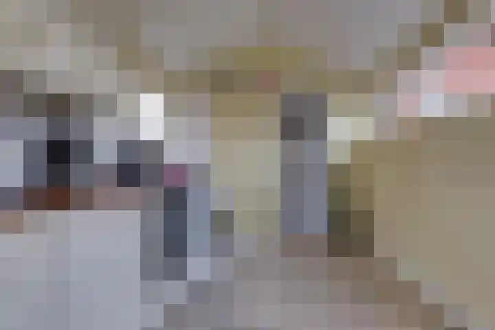 Sportlaan 15 Nieuw-Buinen thumbnail 24