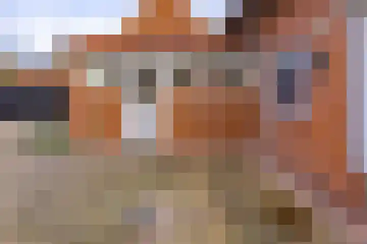 Sportlaan 15 Nieuw-Buinen thumbnail 36