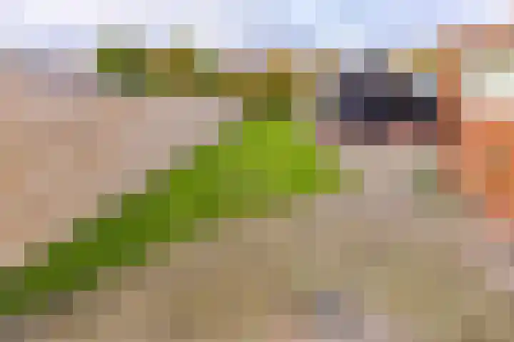 Sportlaan 15 Nieuw-Buinen thumbnail 37