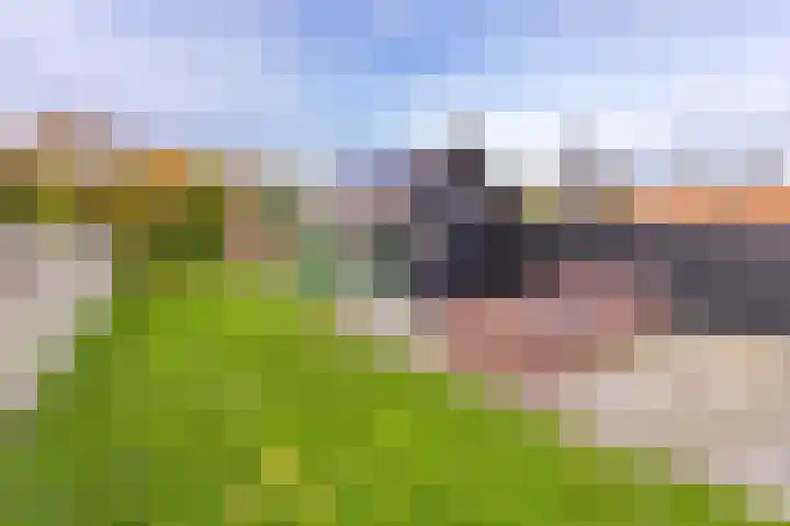 Sportlaan 15 Nieuw-Buinen thumbnail 38