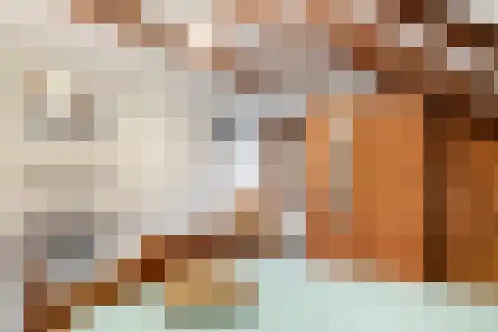 Sportlaan 15 Otterlo thumbnail 29