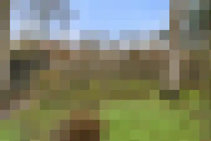 Sportlaan 15 Otterlo thumbnail 43