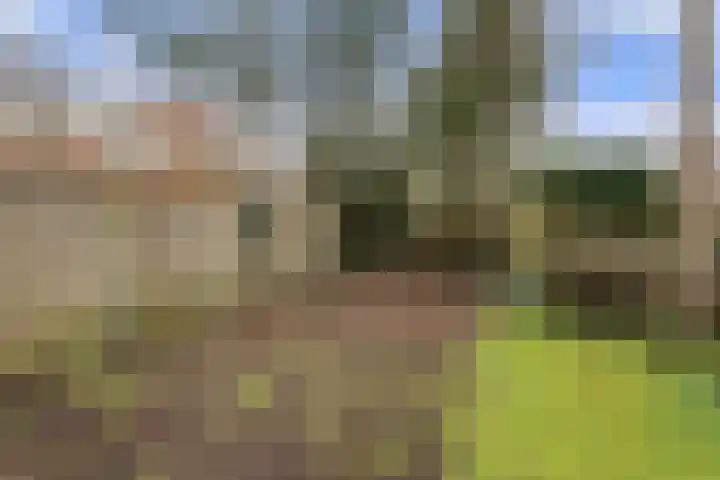 Sportlaan 15 Otterlo thumbnail 44