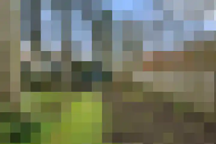 Sportlaan 15 Otterlo thumbnail 45