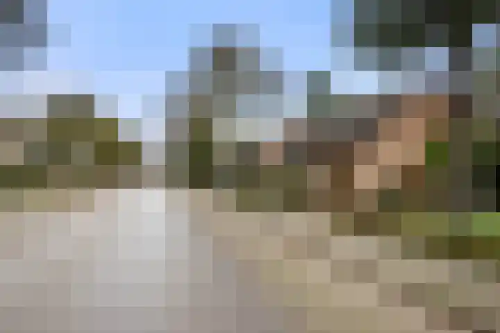 Sportlaan 15 Otterlo thumbnail 46