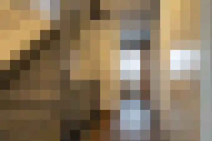 Sportlaan 17 Almkerk thumbnail 12