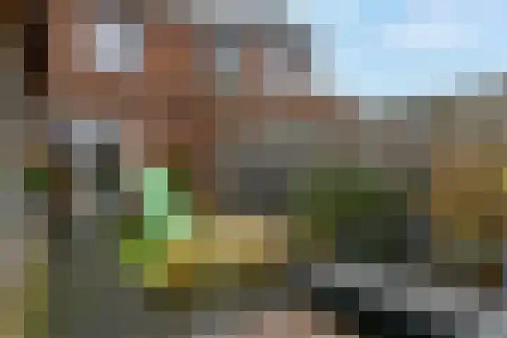 Sportlaan 17 Almkerk thumbnail 26