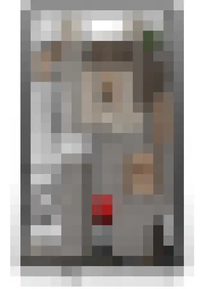 Sportlaan 17 Almkerk thumbnail 28