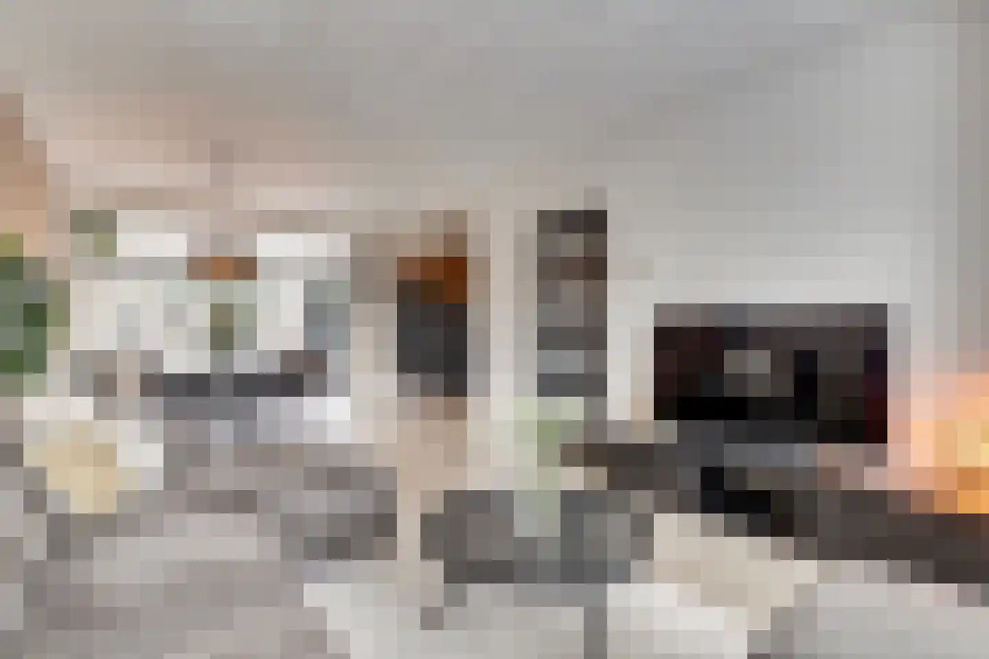Sportlaan 17 De Lier thumbnail 16