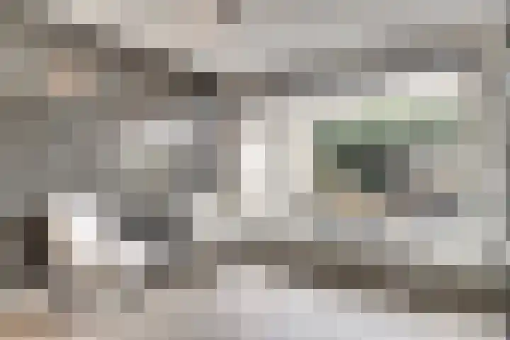 Sportlaan 17 De Lier thumbnail 17