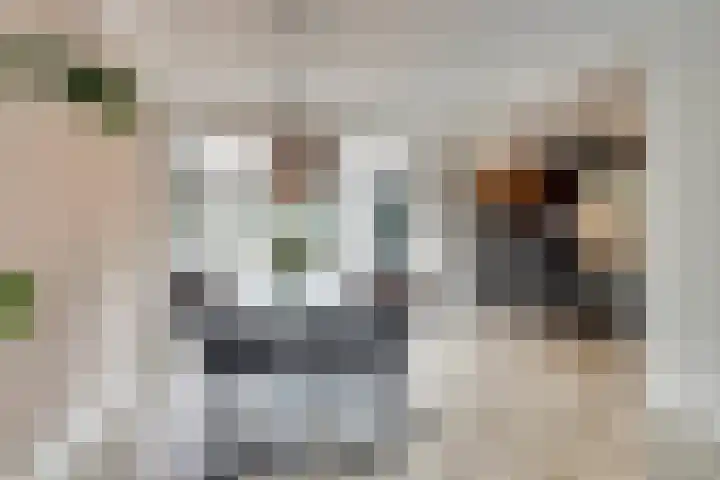 Sportlaan 17 De Lier thumbnail 20