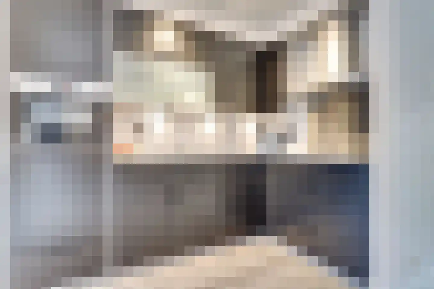 Sportlaan 17 De Lier thumbnail 5