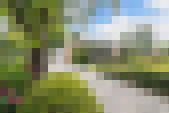 Sportlaan 18 Emmeloord thumbnail 10