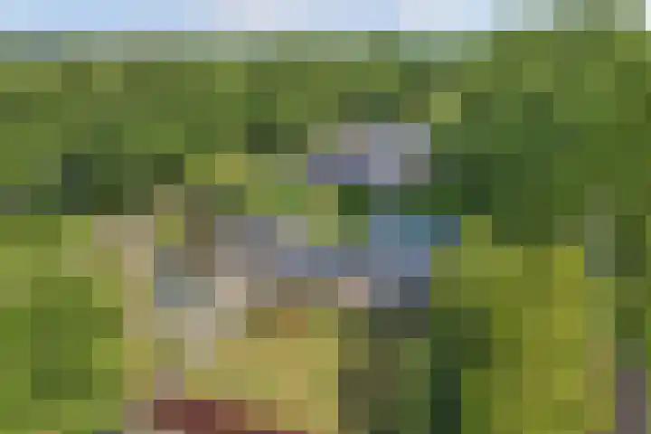 Sportlaan 18 Emmeloord thumbnail 13