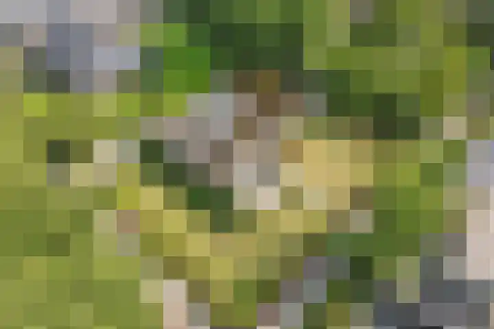 Sportlaan 18 Emmeloord thumbnail 14