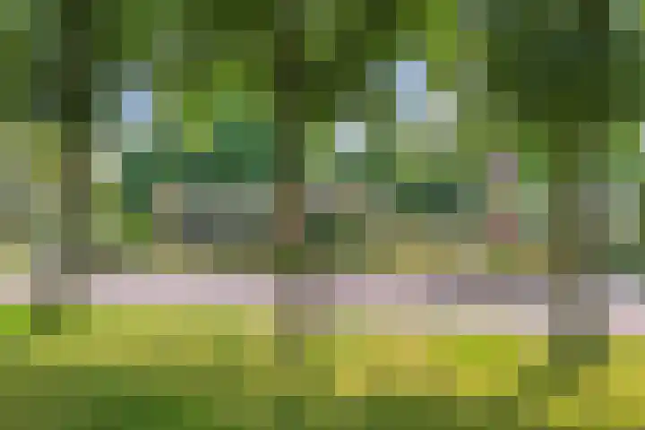 Sportlaan 18 Emmeloord thumbnail 16