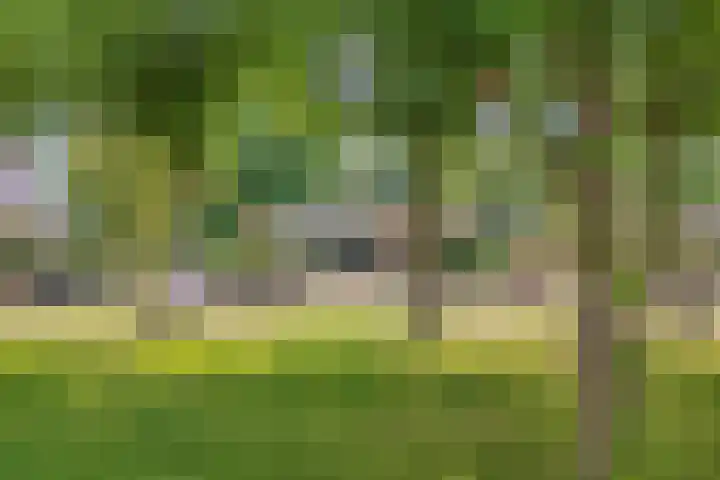 Sportlaan 18 Emmeloord thumbnail 17