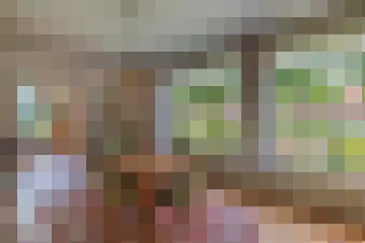 Sportlaan 18 Emmeloord thumbnail 30