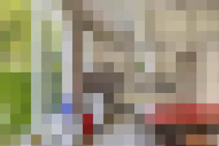 Sportlaan 18 Emmeloord thumbnail 34
