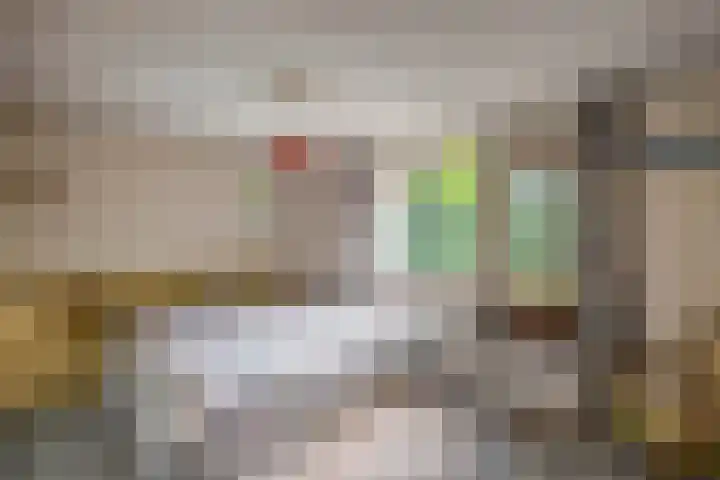 Sportlaan 18 Emmeloord thumbnail 38