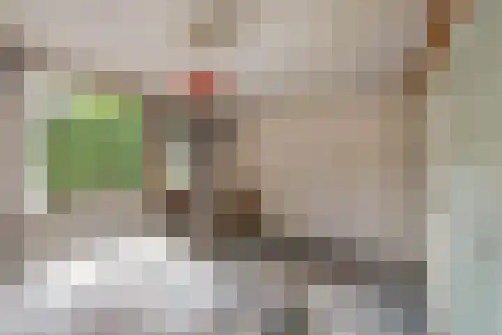 Sportlaan 18 Emmeloord thumbnail 39