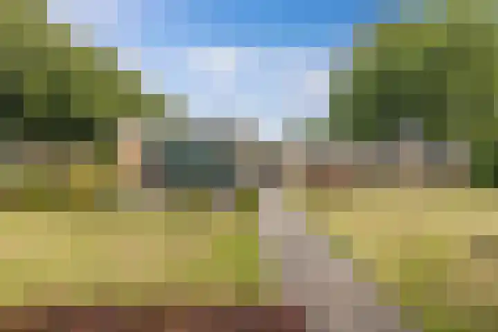 Sportlaan 18 Emmeloord thumbnail 4