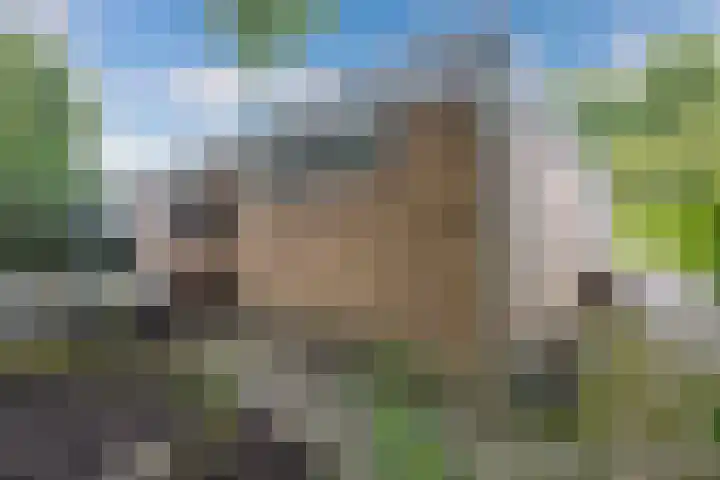 Sportlaan 18 Emmeloord thumbnail 56