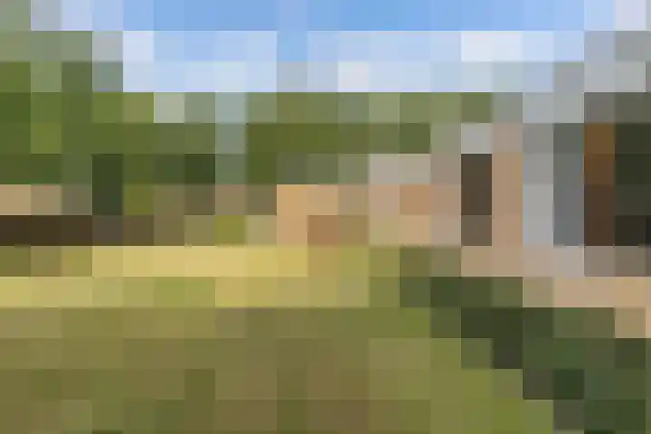 Sportlaan 18 Emmeloord thumbnail 6