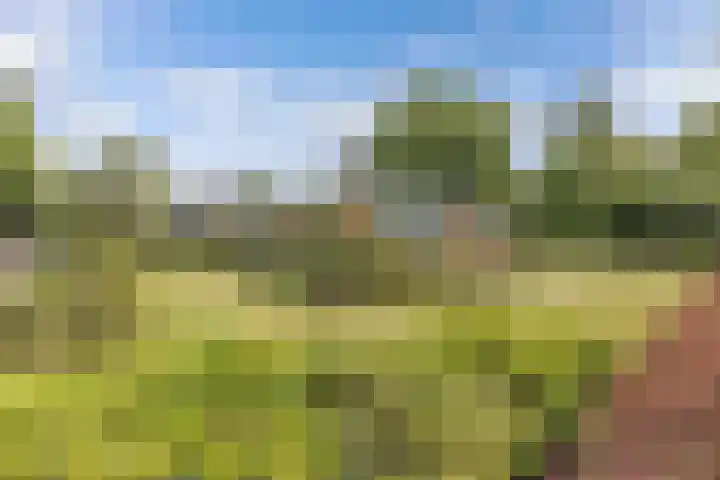 Sportlaan 18 Emmeloord thumbnail 7