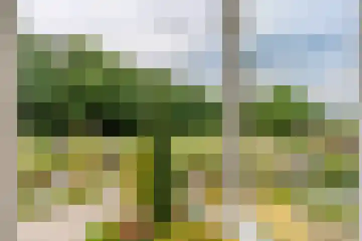 Sportlaan 18 Heerde thumbnail 33