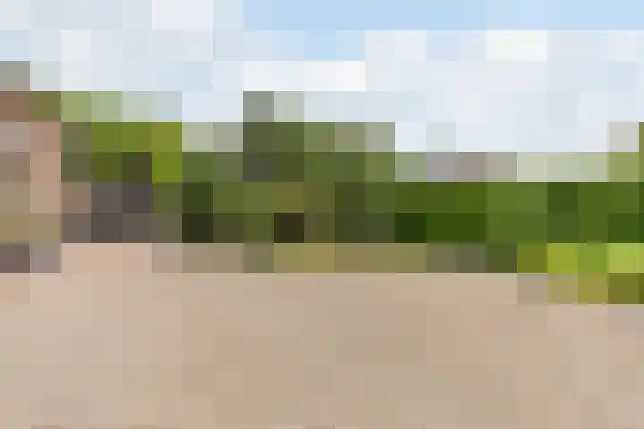 Sportlaan 18 Heerde thumbnail 57