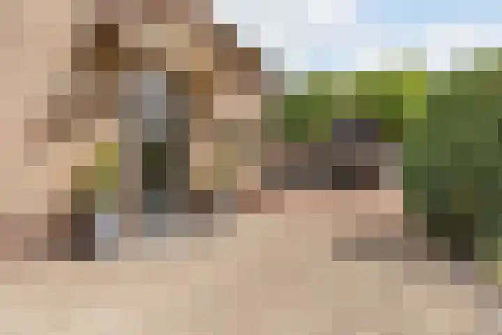 Sportlaan 18 Heerde thumbnail 58