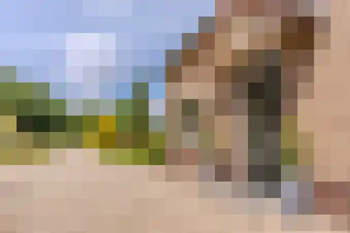 Sportlaan 18 Heerde thumbnail 59