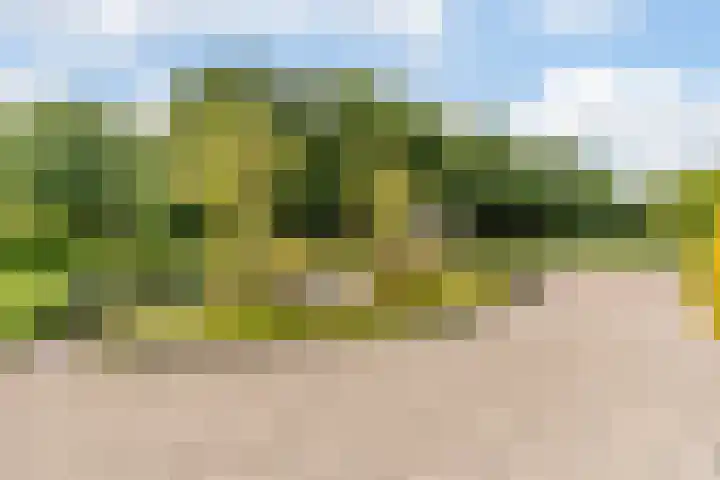 Sportlaan 18 Heerde thumbnail 61
