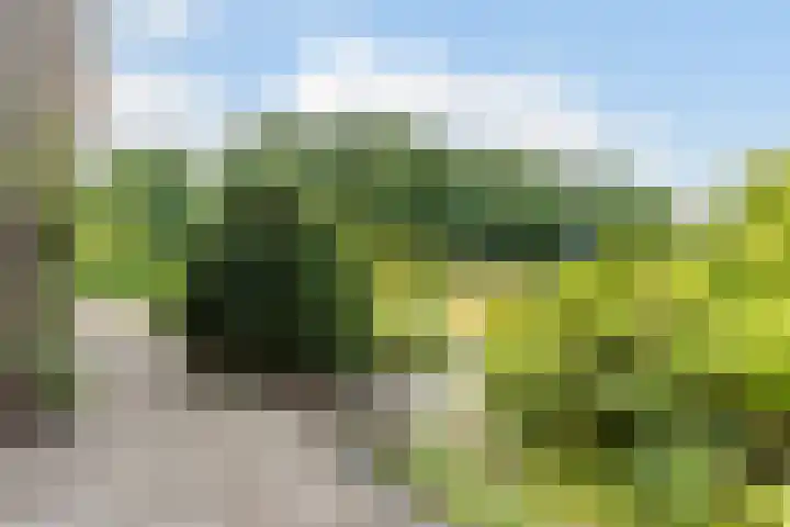 Sportlaan 18 Heerde thumbnail 62