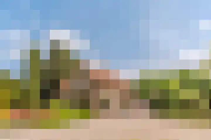 Sportlaan 18 Heerde thumbnail 63