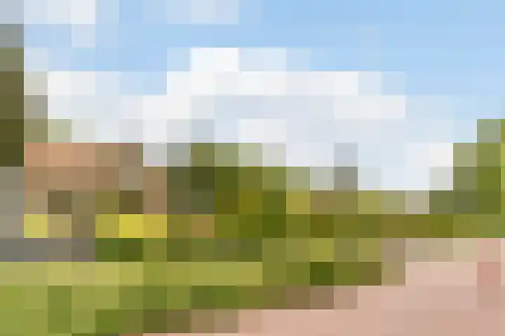 Sportlaan 18 Heerde thumbnail 65
