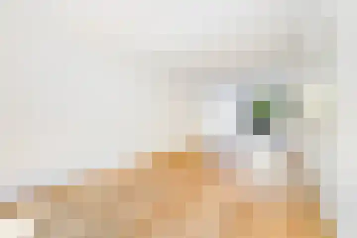 Sportlaan 189 Den Haag thumbnail 11